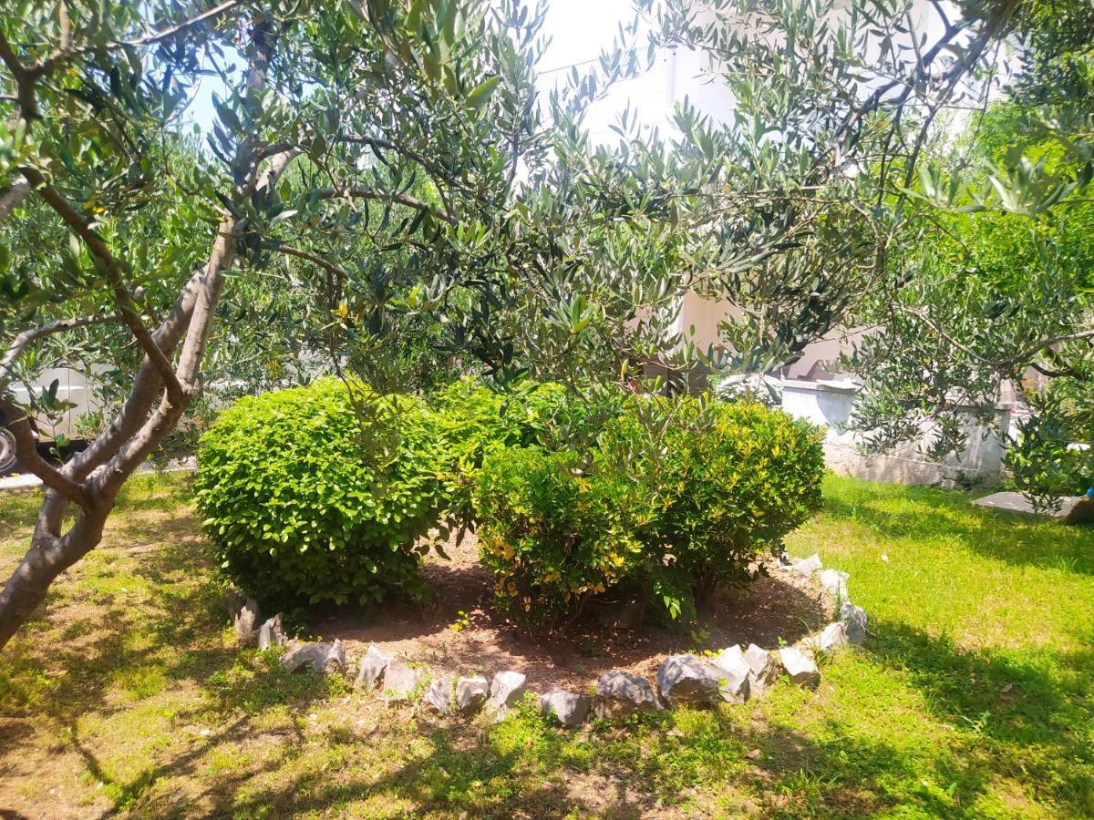 Apartmani Trubi 2 沃迪切 外观 照片